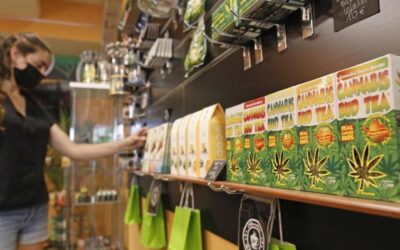 CBD en Palma de Mallorca: Cómo elegir productos